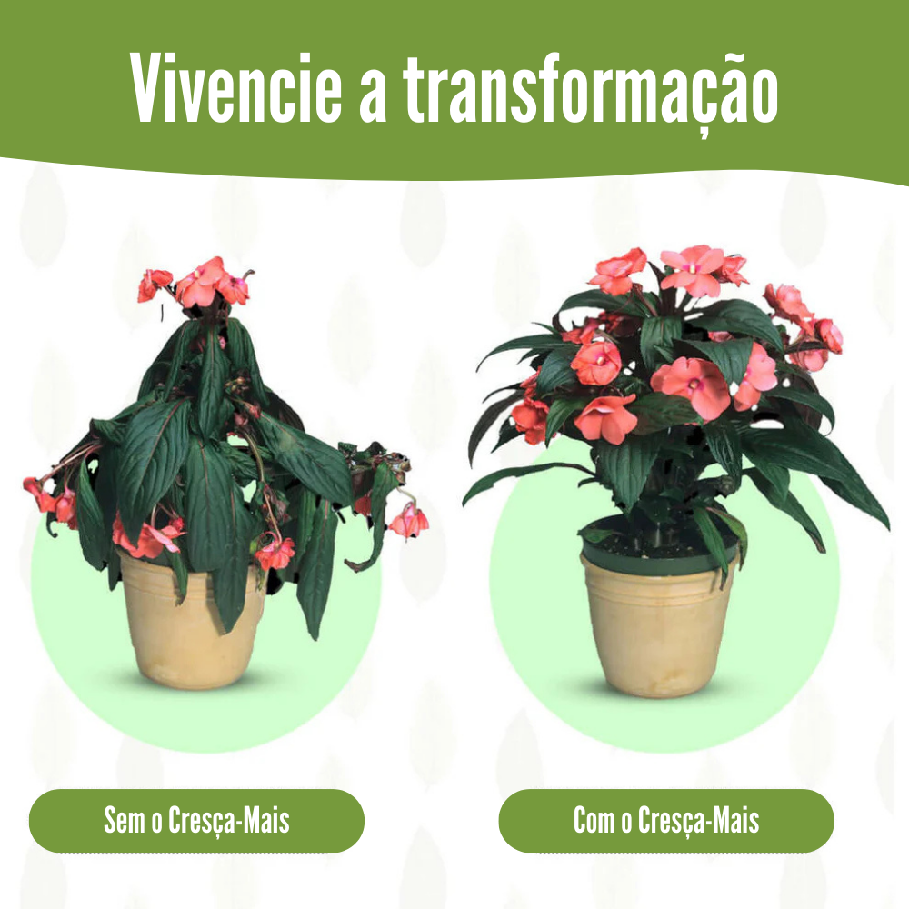 Bastonetes Cresça-Mais - Kit com 30 Bastões