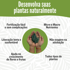 Bastonetes Cresça-Mais - Kit com 30 Bastões