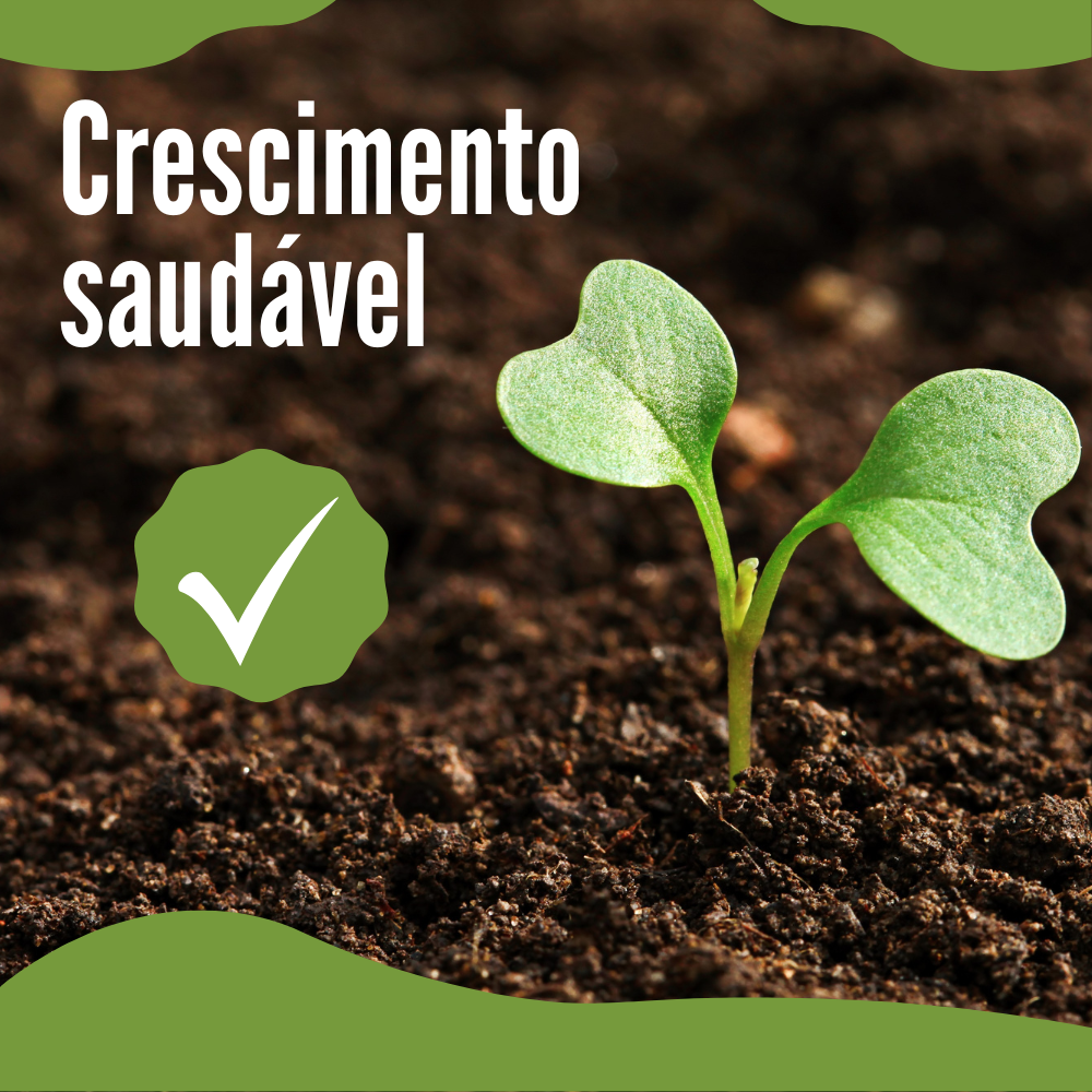 Bastonetes Cresça-Mais - Kit com 30 Bastões