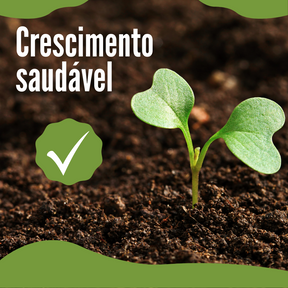 Bastonetes Cresça-Mais - Kit com 30 Bastões